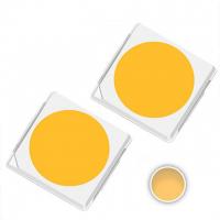 1W 2700-3000K Warm White 3030 SMD LED