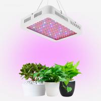 1000W Full Spectrum Plant hydroponic led grow light