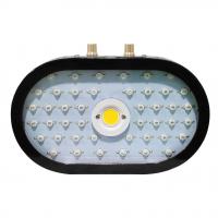 New arrival Black color 1100W Full Spectrum cob led grow light