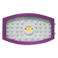 COB 1100W full spectrum led grow light purple