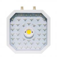Blue COB 1100W full spectrum led grow light