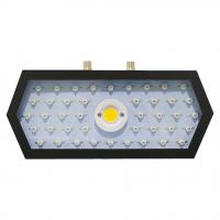 New arrival 1000w Full Spectrum Cob